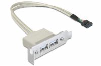 Delock záslepka do slotu USB 2.0 low profile 2 porty