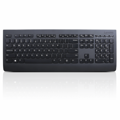 Lenovo Professional Wireless Keyboard and Mouse Combo 4X3...
