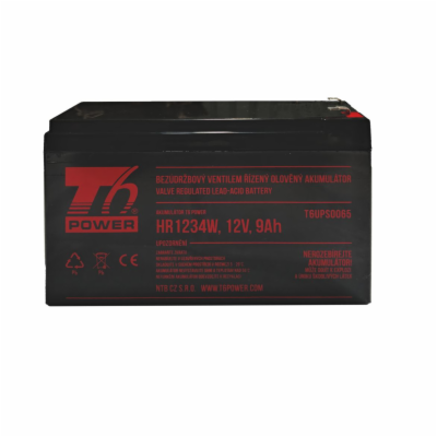 T6 Power RBC17, RBC175 - battery KIT