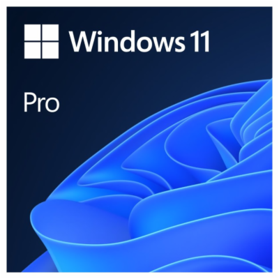 Microsoft OEM Windows 11 Pro  64-Bit English 1pk DVD