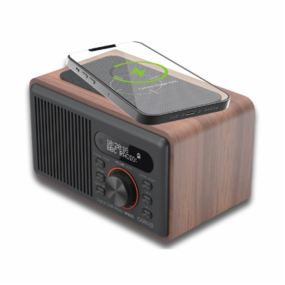 Carneo W100 Rádio CARNEO W100 DAB+, FM, BT, Wireless char...