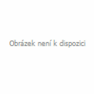 Žárovka NBB 40W E27 240V A55 otřesuvzdorná čirá