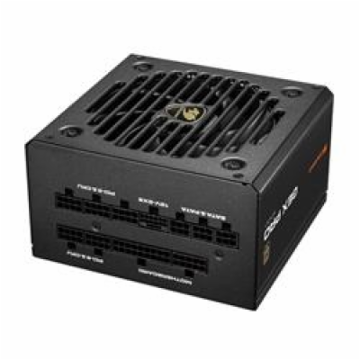 COUGAR PC zdroj GEX PRO 650W 80+ Gold, Fully, ATX3.1, PCI...