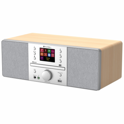 GoGEN IR 267 BTDAB, stříbrný/hnědý