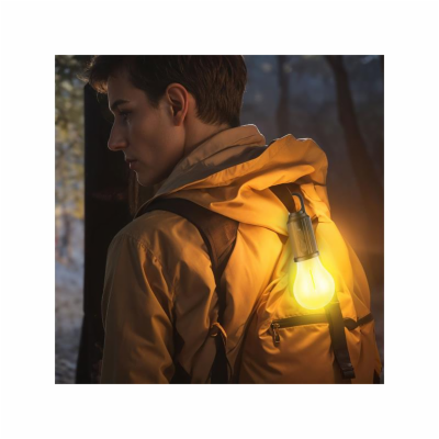 Žárovka solární PHENOM 18585