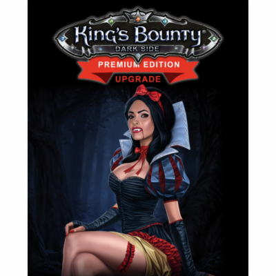 ESD King s Bounty Dark Side Premium Edition Upgrad