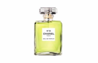 Chanel N°19 EdP 100 ml Pro ženy