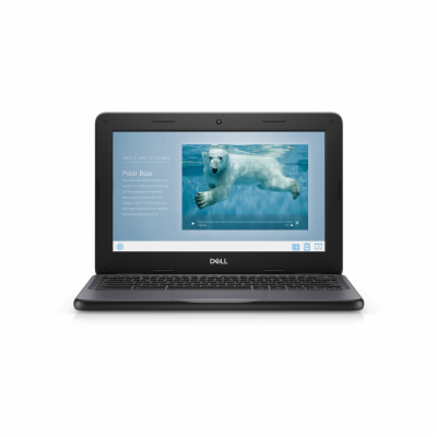 Dell Chromebook 3100 11,6 palců, 4 GB, Intel Celeron N402...