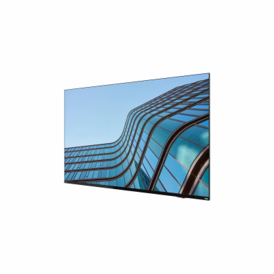 Lenovo ThinkVision E55 54,6"/16:9/3840x2160/8ms