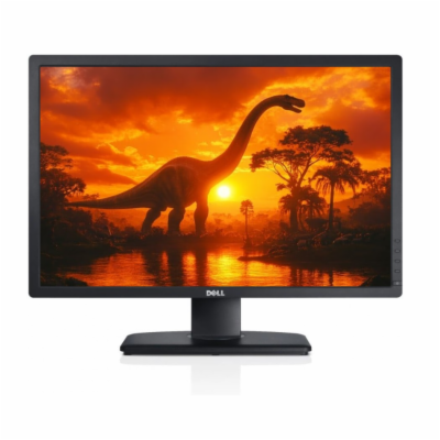 Dell UltraSharp U2412Mc 24 palců, 1920 x 1200 px, Vady: m...