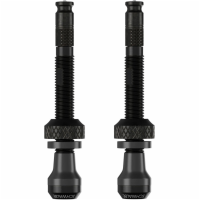 Schwalbe ventilek Tubeless SCV sada 2ks 80 mm
