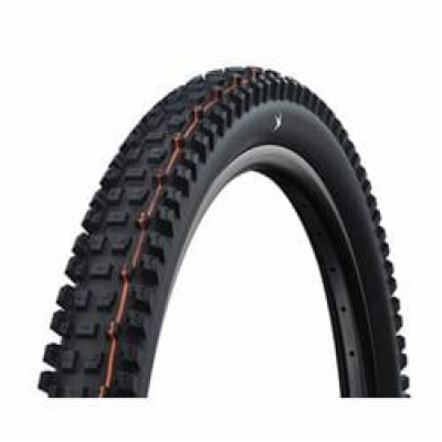 Schwalbe plášť Albert 29x2.50 GRAVITY PRO TLR AddixSoft r...