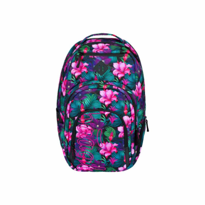 Batoh školní BAAGL Coolmate Paradise