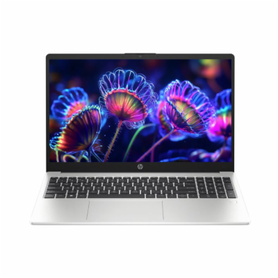 Notebook HP 250 G10  Notebook - 15,6 palců, 8 GB, Intel C...