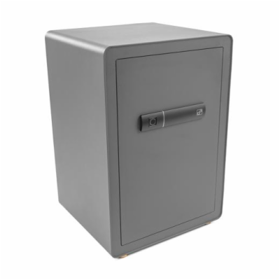 Trezor G21 na otisk prstu 420x600x380mm