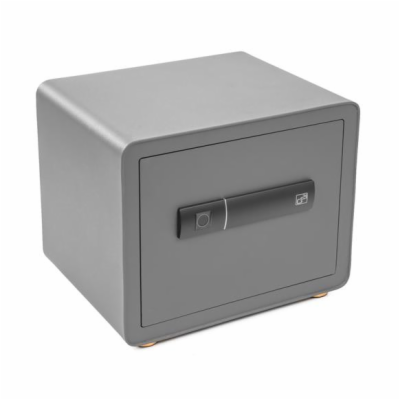 Trezor G21 na otisk prstu 380x310x300mm