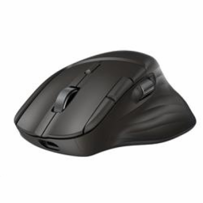 HP Ultra-Fast-Scroll Wireless Mouse 780M