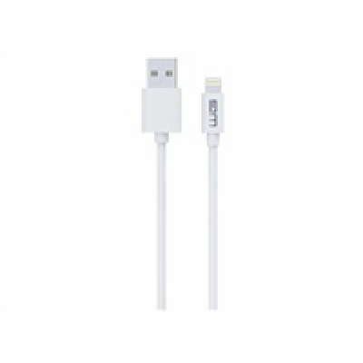 WG - Datový kabel Lightning to USB-A / 2m / white