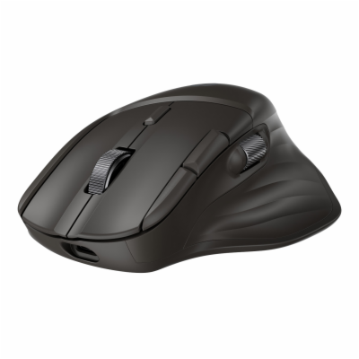 HP Ultra-Fast Scroll Wireless Mouse 785M