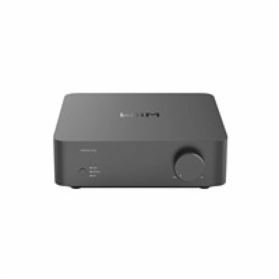 WiiM Vibelink Amp - Grey