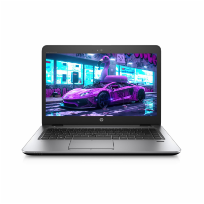 Notebook HP EliteBook 745 G4  Notebook - 14 palců, 8 GB, ...