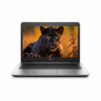 Notebook HP EliteBook 745 G4  Notebook - 14 palců, 8 GB, ...