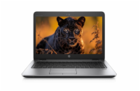 Notebook HP EliteBook 745 G4  Notebook - 14 palců, 8 GB, AMD PRO A8-9600B 2.40 GHz, 128 GB SSD, Windows 10 Home, 1366 x 768 px, AMD Radeon R5 Graphics, Bluetooth, WIFI, Webkamera, Vady: mírné estetic