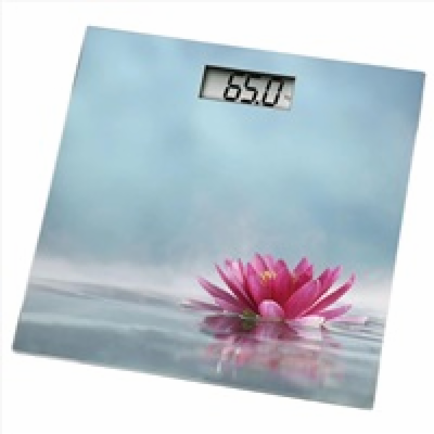 Xavax osobní digitální váha ROSA