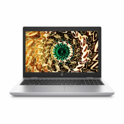 Notebook HP ProBook 650 G5  Notebook - 15,6 palců, 8 GB, ...