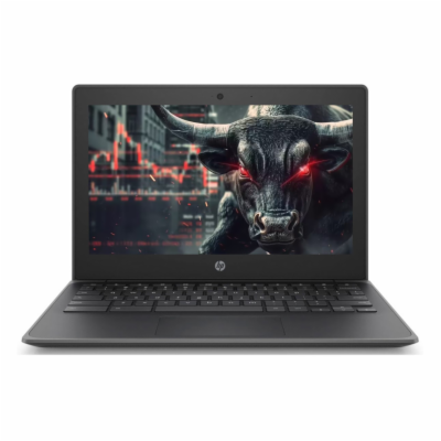 Notebook HP Chromebook 11 G8 EE  Notebook - 11,6 palců, 4...
