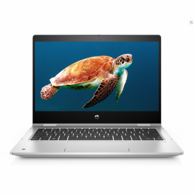Notebook HP ProBook x360 435 G7  Notebook - 13,3 palců, 8...