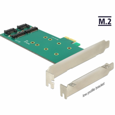 Delock PCI Express Card > 2 x internal M.2 Key B 110 mm -...