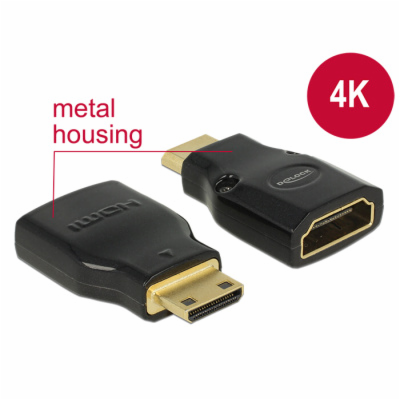 Delock Adaptér High Speed HDMI s Ethernetem – HDMI Mini-C...