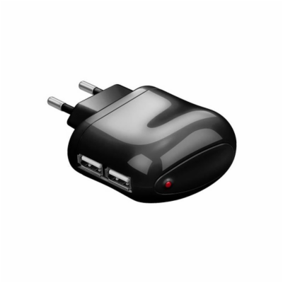 TECHLY 300590 USB charger 5V 2.1A. two USB ports. black