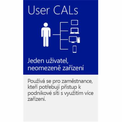 MS OEM Windows Server CAL 2016 EN 1pk 1 User CAL