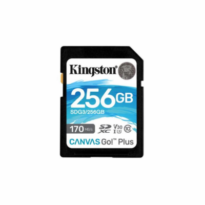 Kingston SDXC Class 10 256 GB SDG3/256GB Kingston SDXC ka...