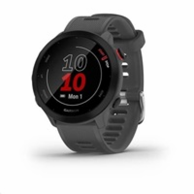 Garmin Forerunner 55, Grey
