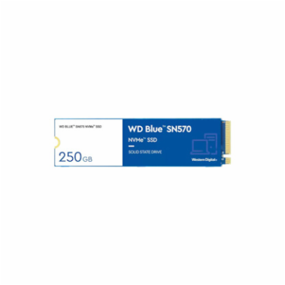 WD Blue SN570 250GB, WDS250G3B0C WD BLUE SSD NVMe 250GB P...