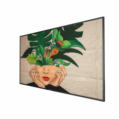 65" D-LED Philips 65BDL4511D/00