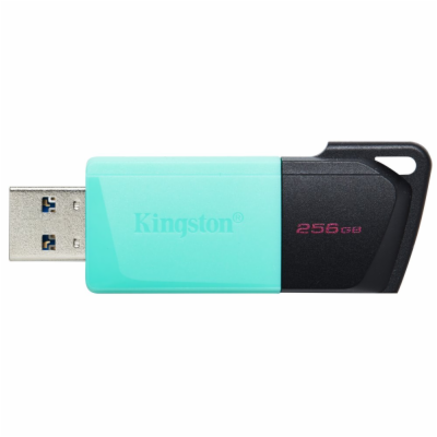 Kingston Flash Disk 256GB USB3.2 Gen 1 DataTraveler Exodi...