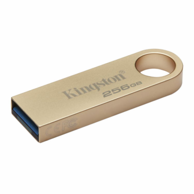Kingston 256GB DataTraveler DTSE9, 3. Generace, USB 3.2, ...