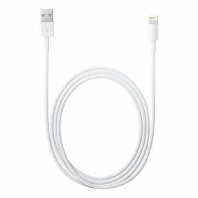 Apple Lightning to USB Cable (1m)