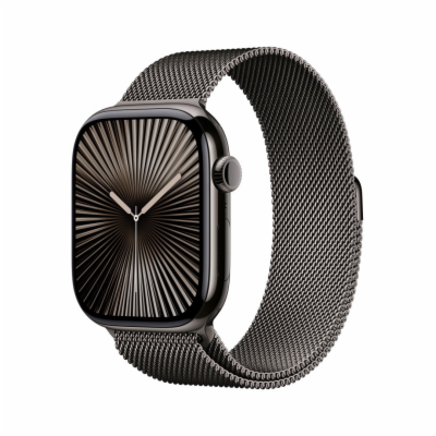 Apple Watch S10 Cell/46mm/Slate Grey/Elegant Band/Slate/-M/L