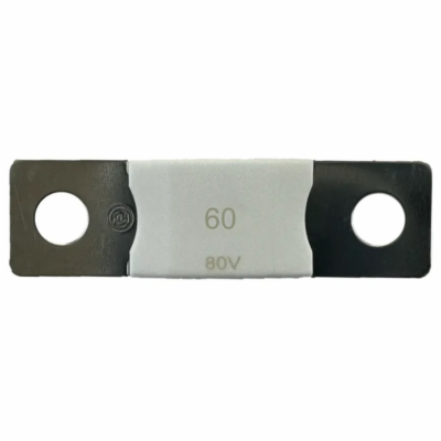 Victron DC MEGA - pojistka 60A/80V