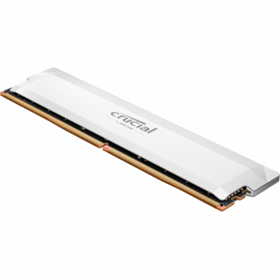 Crucial Pro OC/DDR5/16GB/6400MHz/CL38/1x16GB/White