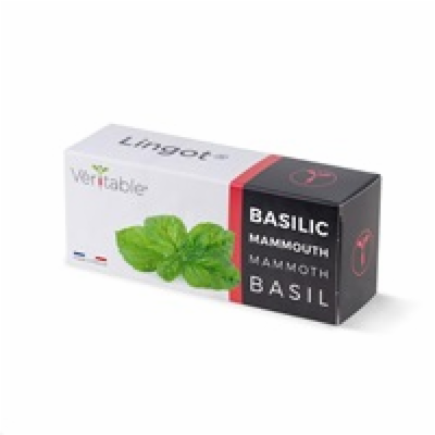 Véritable Lingot Bazalka mamutí
