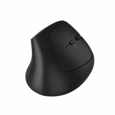 CANYON mouse MW-25 Ergonomic LED AA Dual mode Wireless Black