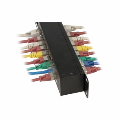 Delock 19” Coupler Patch Panel 24 Port Cat.6