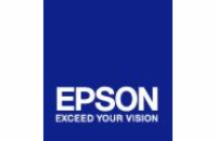 Epson T596 Orange 350 ml