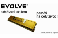 EVOLVEO by Zeppelin DDR 1GB 400 MHz EVOLVEO GOLD (box), CL3 (doživotní záruka)